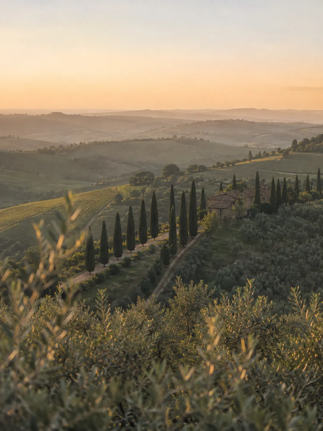 Paisaje toscano al atardecer