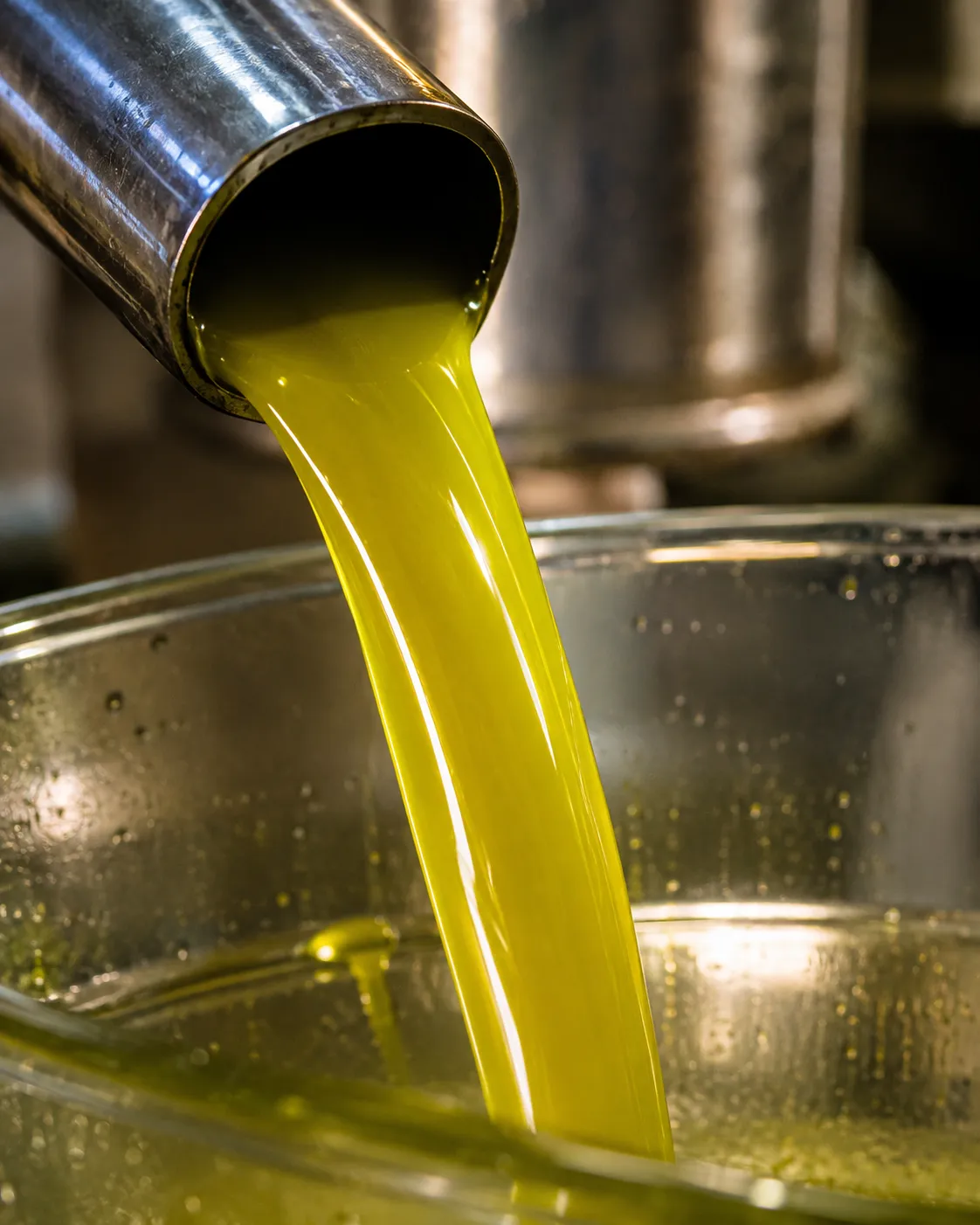 Primer aceite recién extraído